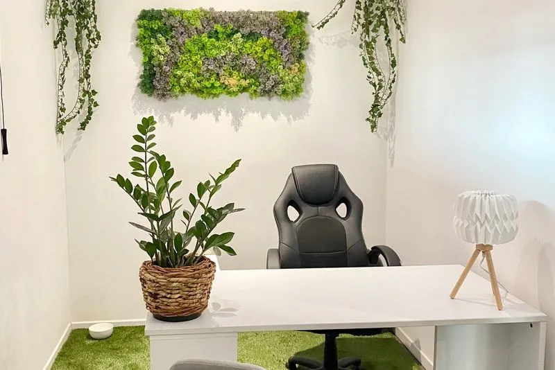 Bureau vert avec plantes